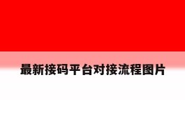 最新接码平台对接流程图片