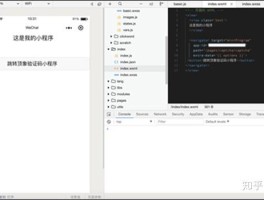 接码软件是真的吗知乎视频在线观看