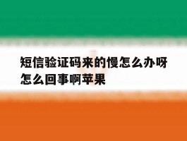 短信验证码来的慢怎么办呀怎么回事啊苹果