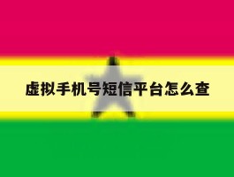 虚拟手机号短信平台怎么查