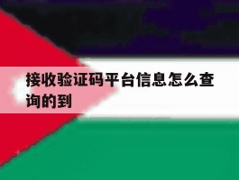 接收验证码平台信息怎么查询的到