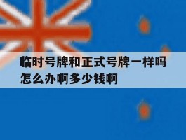 临时号牌和正式号牌一样吗怎么办啊多少钱啊的简单介绍