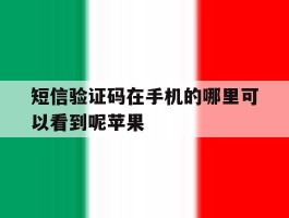 短信验证码在手机的哪里可以看到呢苹果