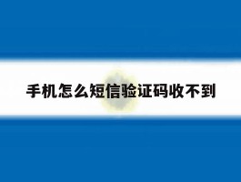 手机怎么短信验证码收不到