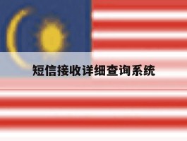 短信接收详细查询系统
