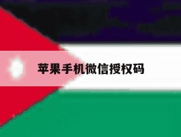 苹果手机微信授权码