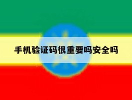 手机验证码很重要吗安全吗