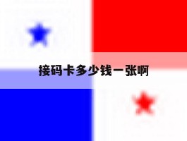 接码卡多少钱一张啊