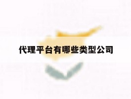 代理平台有哪些类型公司