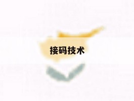 接码技术