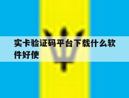 实卡验证码平台下载什么软件好使