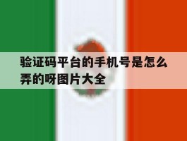 包含验证码平台的手机号是怎么弄的呀图片大全的词条