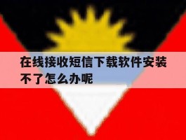 在线接收短信下载软件安装不了怎么办呢