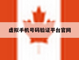 虚拟手机号码验证平台官网