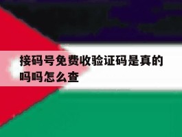 接码号免费收验证码是真的吗吗怎么查