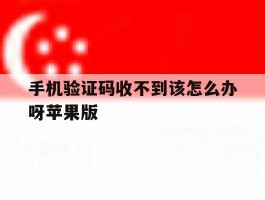 手机验证码收不到该怎么办呀苹果版