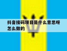 抖音接码项目是什么意思呀怎么做的