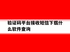 验证码平台接收短信下载什么软件查询