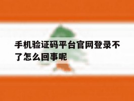手机验证码平台官网登录不了怎么回事呢
