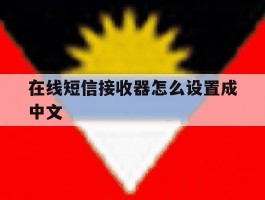 在线短信接收器怎么设置成中文