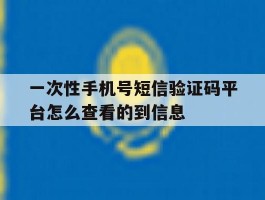 一次性手机号短信验证码平台怎么查看的到信息的简单介绍