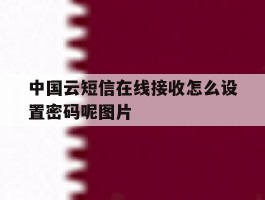 中国云短信在线接收怎么设置密码呢图片的简单介绍