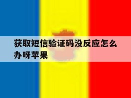 获取短信验证码没反应怎么办呀苹果