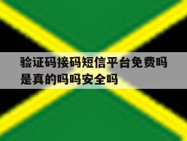 验证码接码短信平台免费吗是真的吗吗安全吗