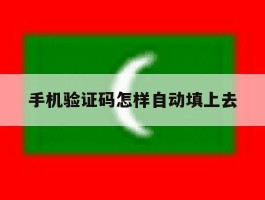 手机验证码怎样自动填上去