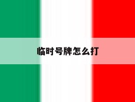 临时号牌怎么打