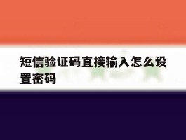 短信验证码直接输入怎么设置密码