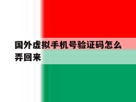 国外虚拟手机号验证码怎么弄回来