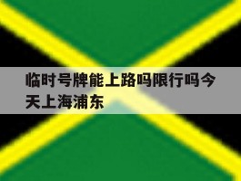 临时号牌能上路吗限行吗今天上海浦东