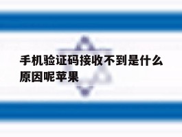手机验证码接收不到是什么原因呢苹果