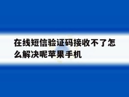 在线短信验证码接收不了怎么解决呢苹果手机的简单介绍