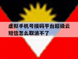 虚拟手机号接码平台超级云短信怎么取消不了