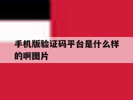 手机版验证码平台是什么样的啊图片