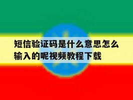 短信验证码是什么意思怎么输入的呢视频教程下载的简单介绍