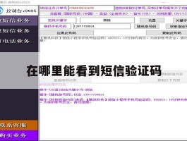 在哪里能看到短信验证码