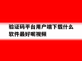 验证码平台用户端下载什么软件最好呢视频