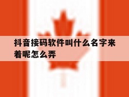 抖音接码软件叫什么名字来着呢怎么弄