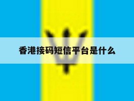 香港接码短信平台是什么