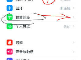 苹果手机12短信接收不到