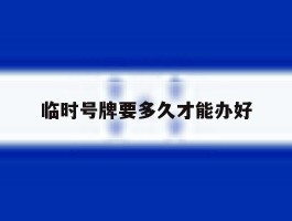 临时号牌要多久才能办好