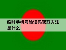 临时手机号验证码获取方法是什么