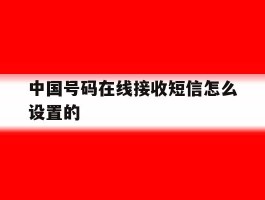 中国号码在线接收短信怎么设置的