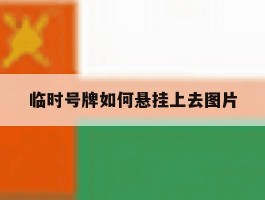临时号牌如何悬挂上去图片