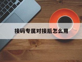 接码专属对接后怎么用