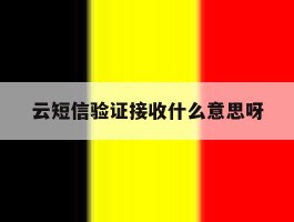 云短信验证接收什么意思呀
