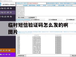 临时短信验证码怎么发的啊图片